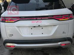 بي واي دي سونغ L DM-i